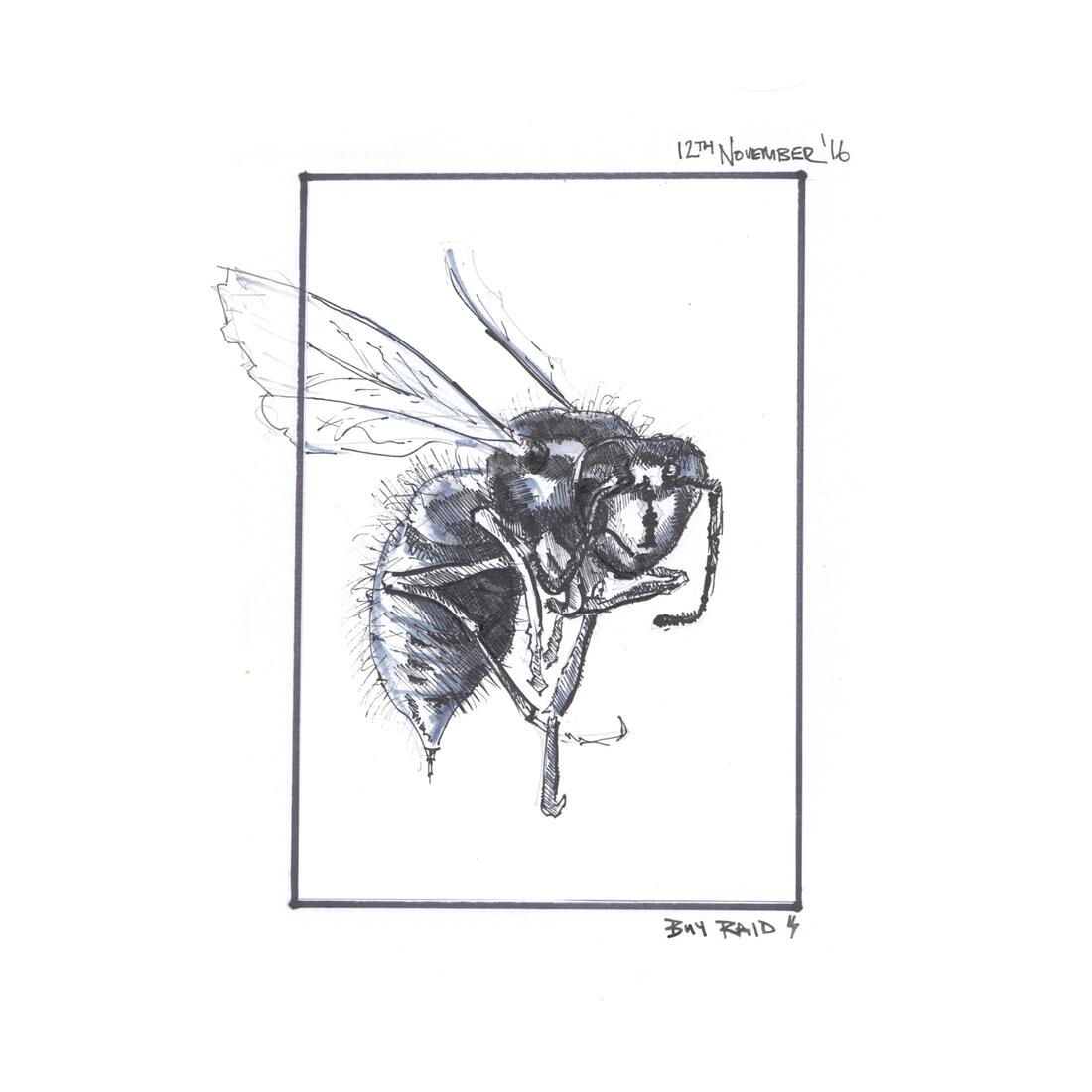 Bug raid, ink