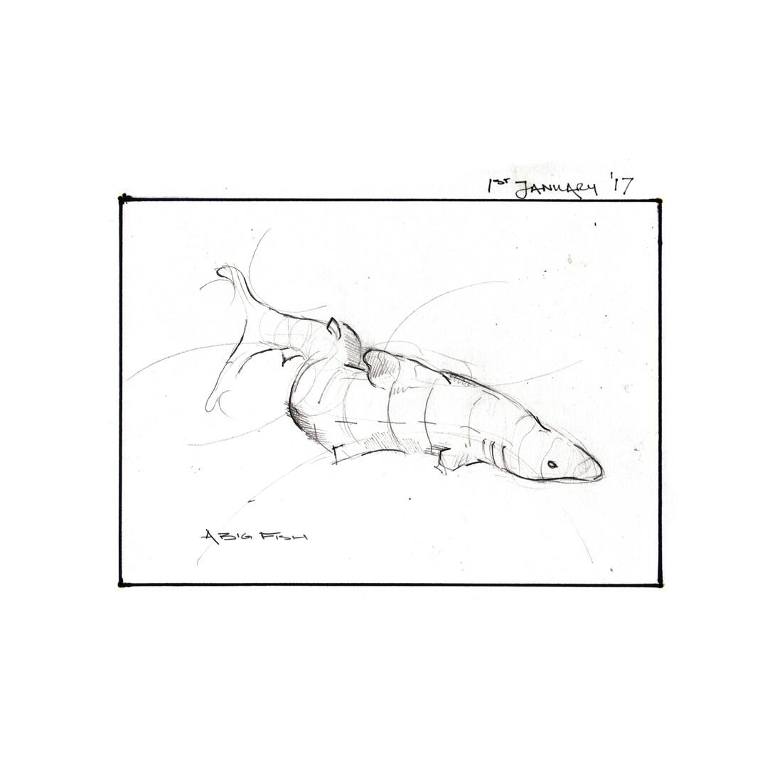Anatomical study, pencil