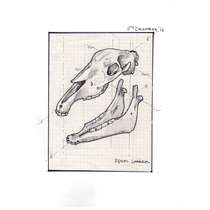 Drawing 66