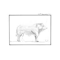Drawing 113