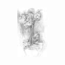 Drawing 203