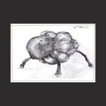 Drawing 204