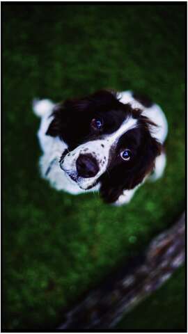 Photograph 00