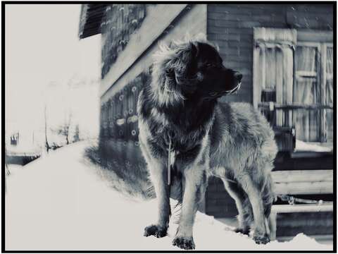 Photograph 01