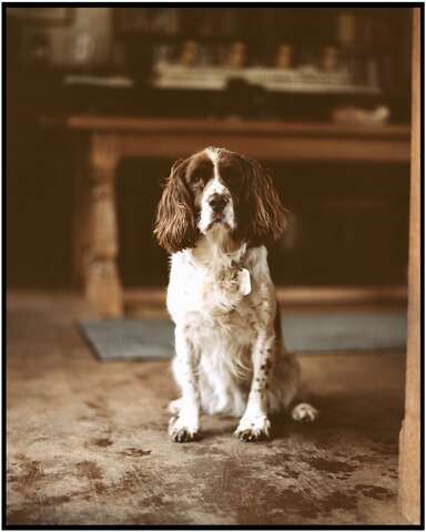Photograph 05