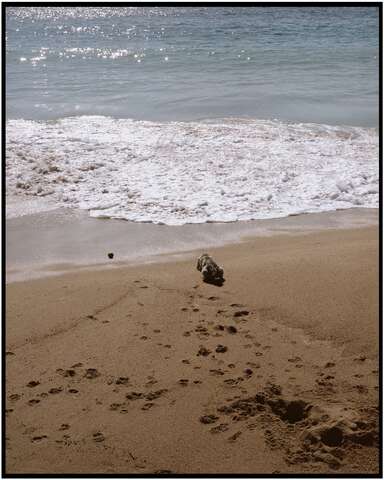 Photograph 05