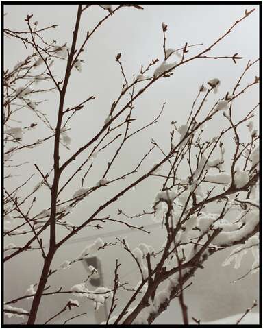 Photograph 07