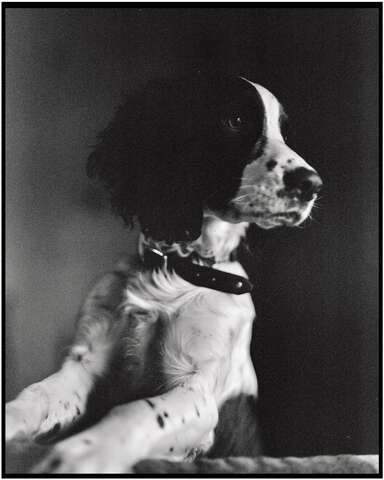 Photograph 07