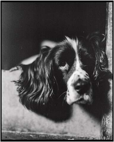 Photograph 07