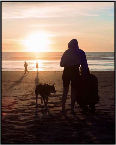 Photograph 08