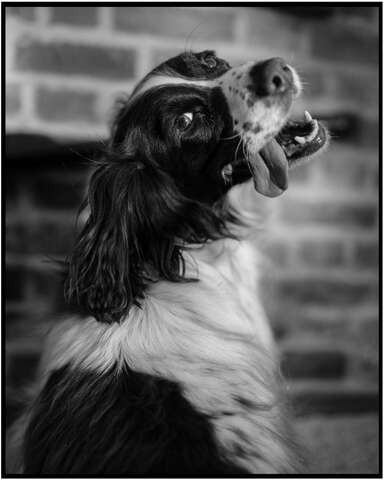 Photograph 09