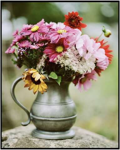 Photograph 09