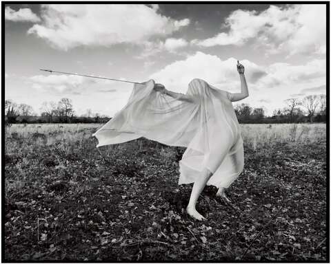 Photograph 10