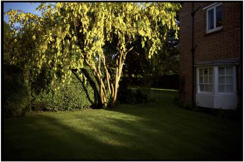 Photograph 12