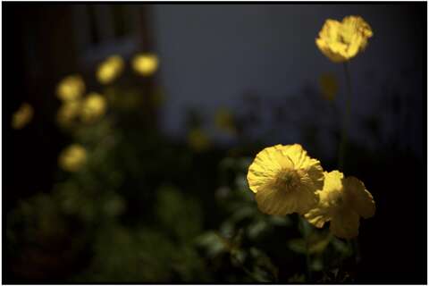 Photograph 12