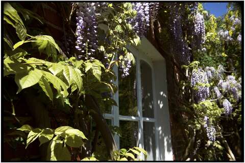 Photograph 13