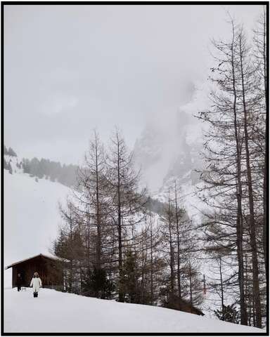 Photograph 13