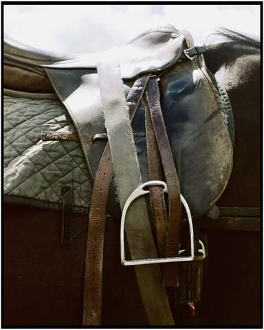 Photograph 14