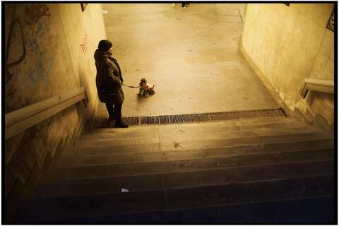 Photograph 14