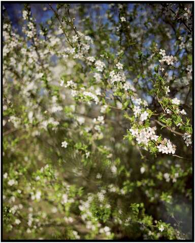 Photograph 15