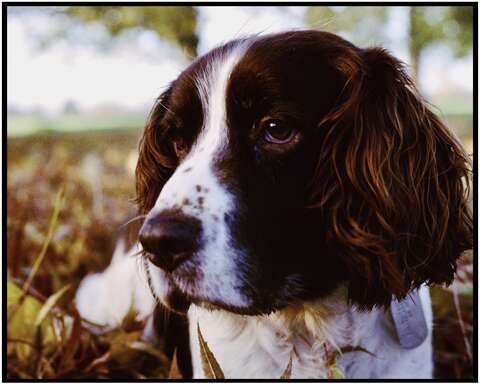 Photograph 16