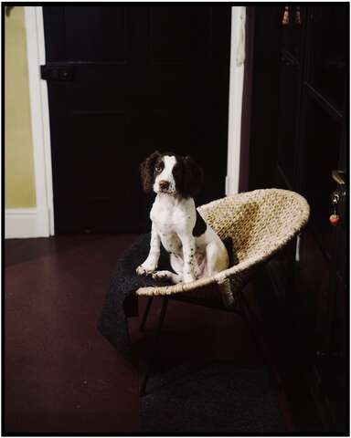 Photograph 17