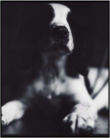 Photograph 17
