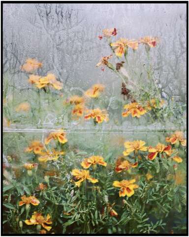 Photograph 19