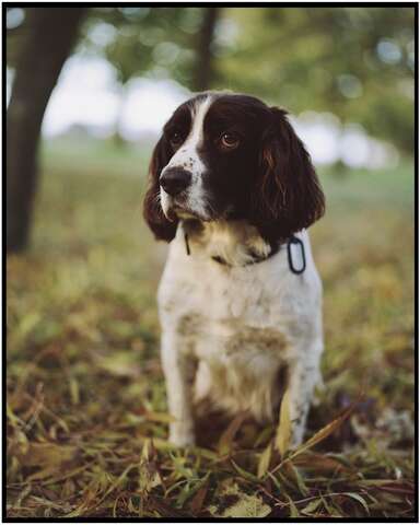 Photograph 19