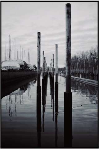 Photograph 19