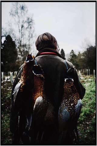 Photograph 21