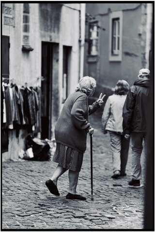 Photograph 22