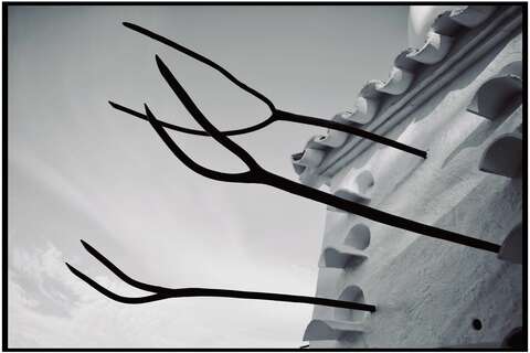 Photograph 23
