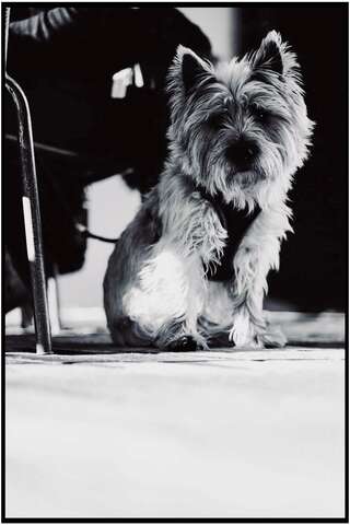 Photograph 24