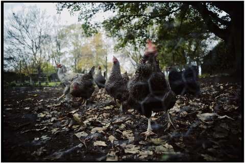Photograph 25